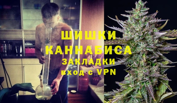 стафф Бронницы
